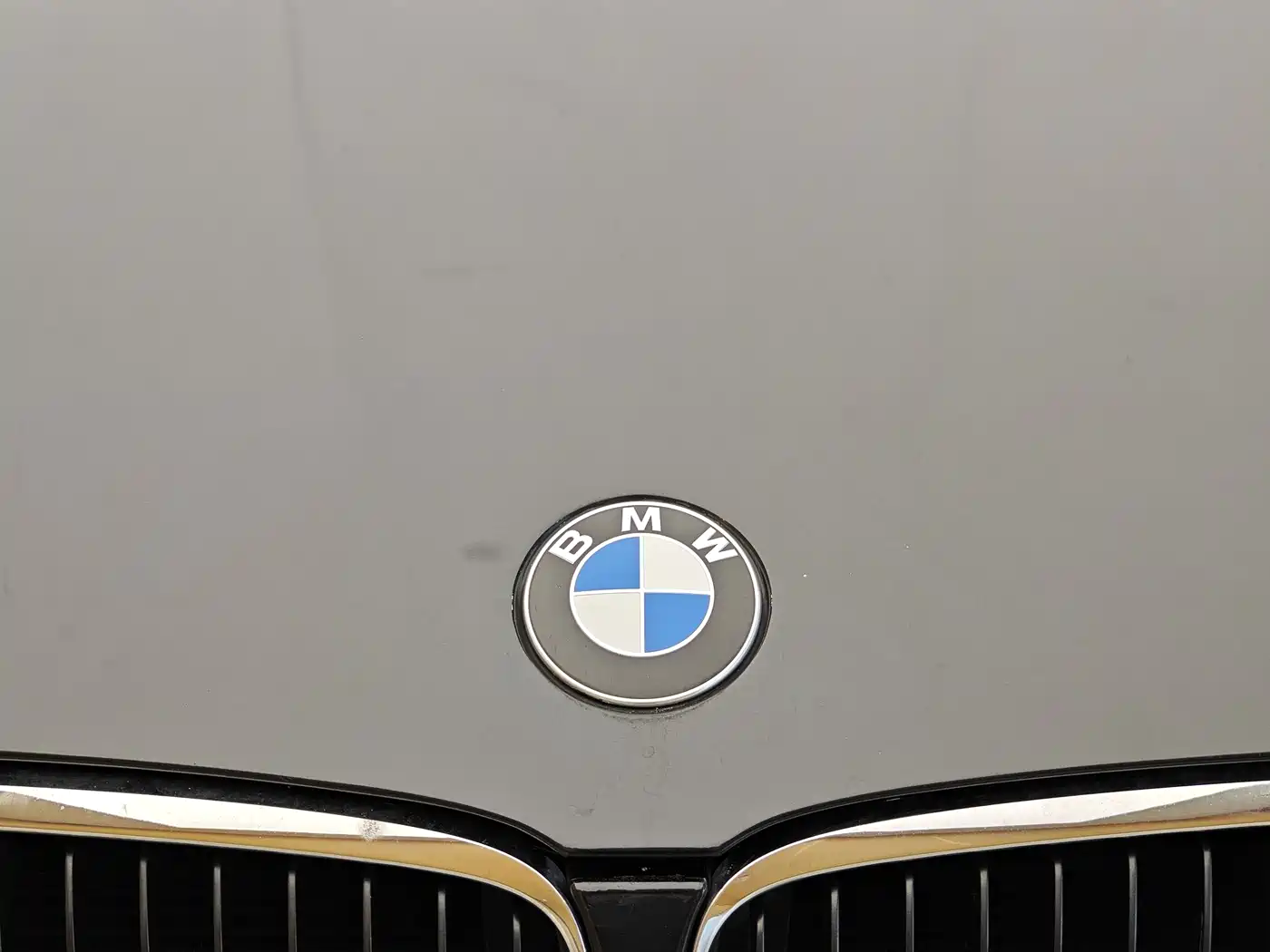 BMW 3 Series 2010 320i Luxury фото 3