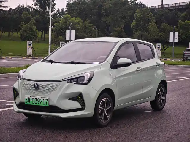  Changan Changan Benben E-Star 2022 Appreciation Edition Colorful LFP