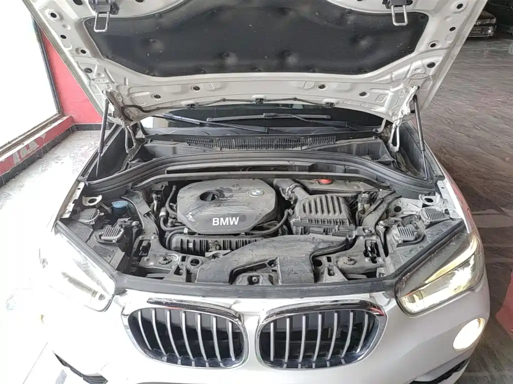 BMW X1 2019 xDrive20Li Premium Model фото 19
