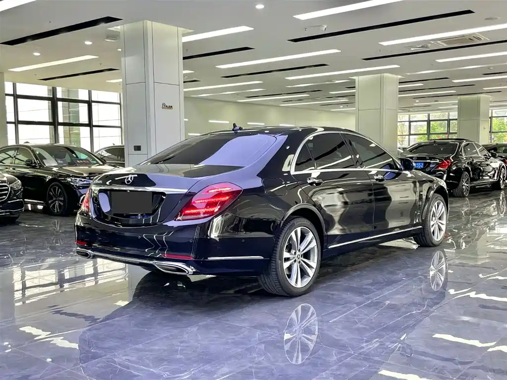 Mercedes-Benz S-Class 2020 S 350 L Premium Edition Collector's Version фото 7