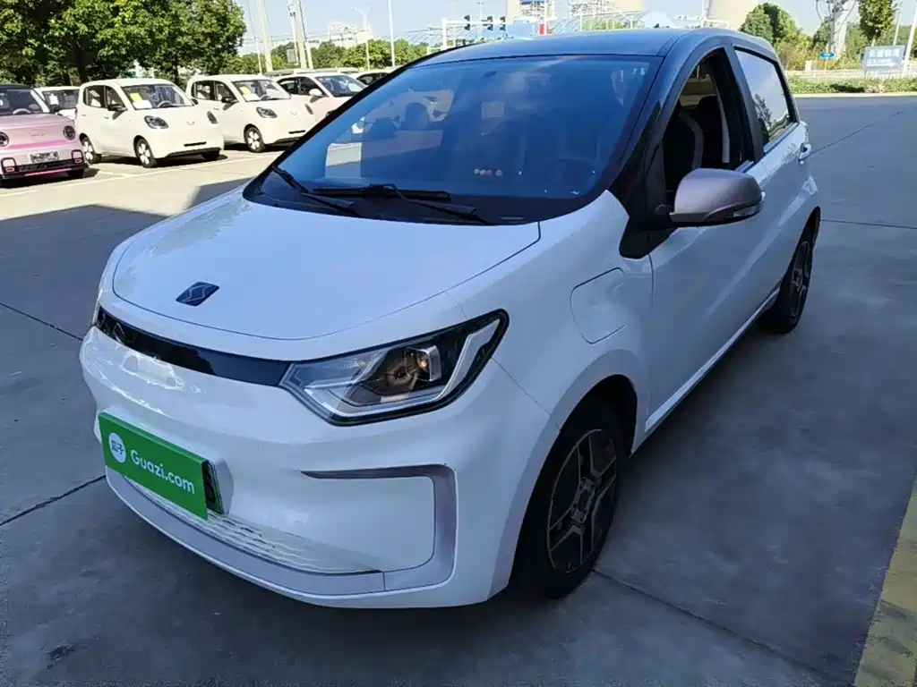 Sehol Flower Fairy 2021 2021 302km Fashion Edition 30.2kWh