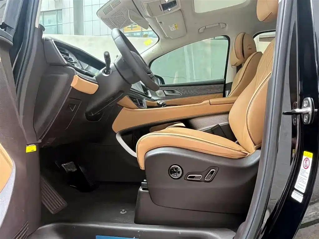 Denza D9 2024 DM-i 980 AWD Premium фото 9