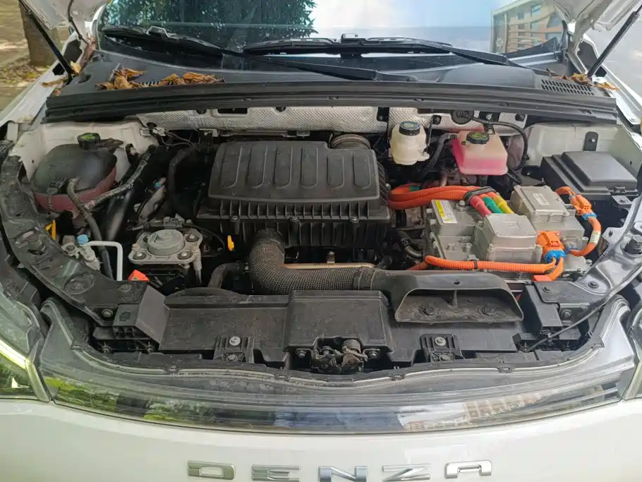 Denza X 2021 2020 Model PHEV Flagship Edition