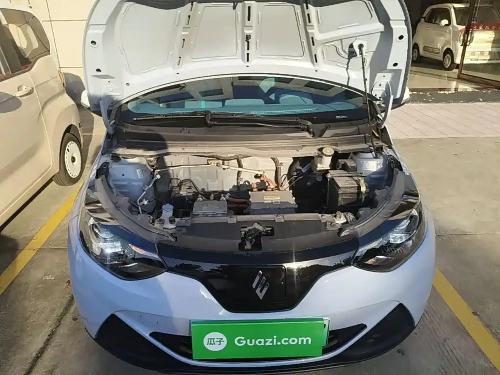 JMCG New Energy Little Kirin 2025 2024 201km Comfort Model