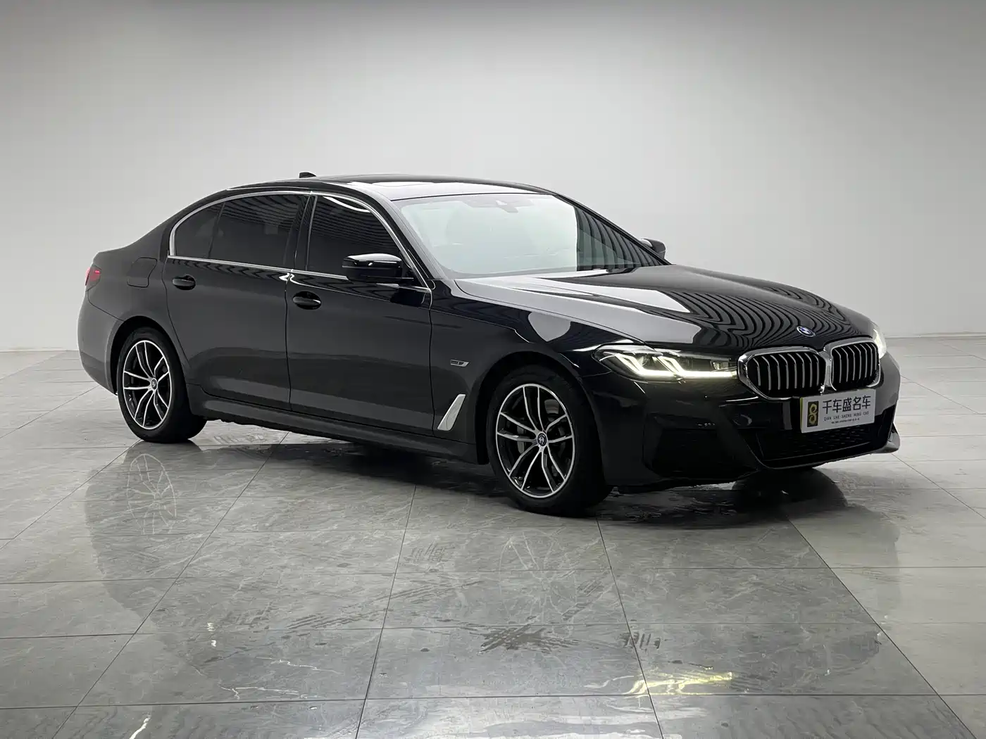 BMW 5 SERIES NEW ENERGY