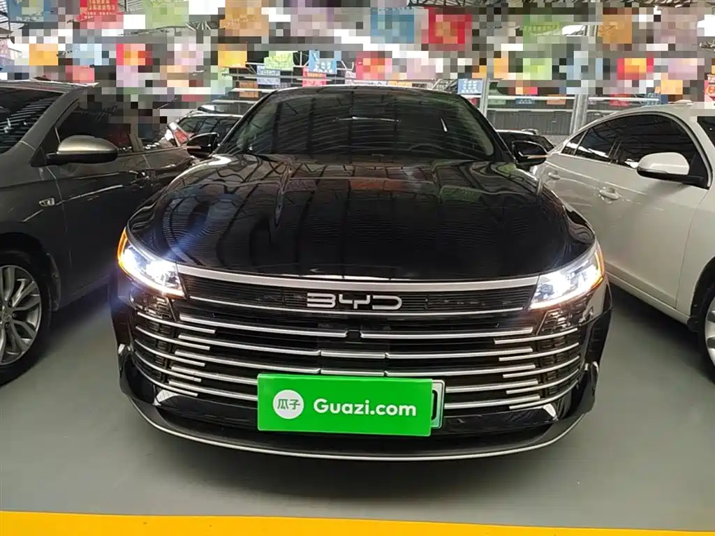 BYD Destroyer 05 2024 Glory Edition DM-i 55KM Luxury фото 3