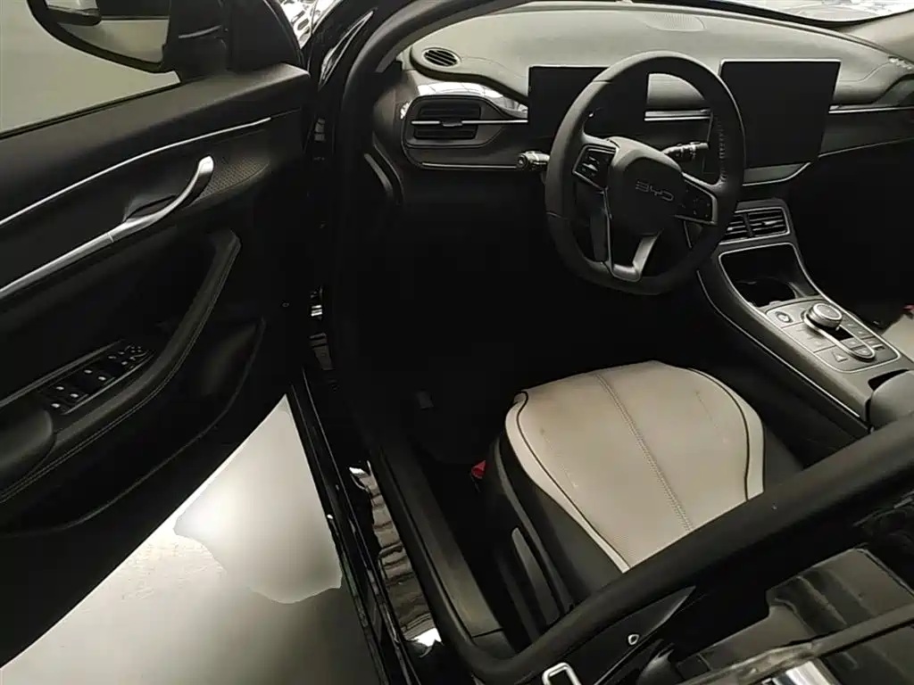 BYD Destroyer 05 2024 Glory Edition DM-i 55KM Luxury фото 16