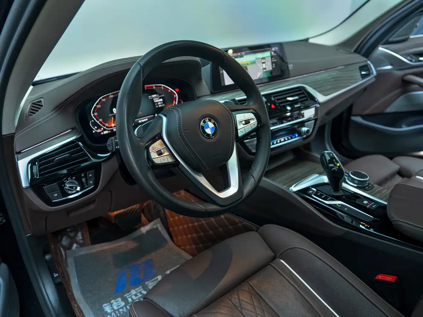 BMW 5 Series 2020 530Li Premium Luxury Package фото 10