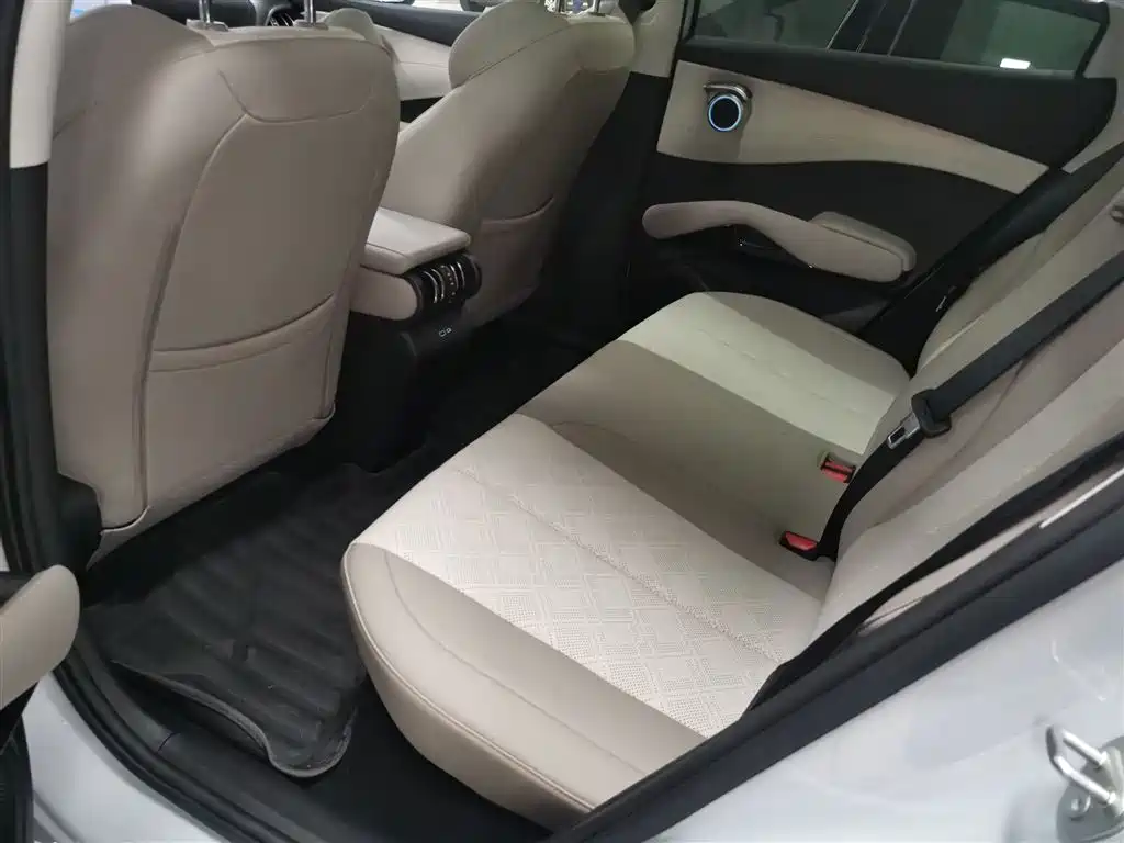 BYD Yuan PLUS 2025 Smart Drive 510KM Surpass Edition фото 10
