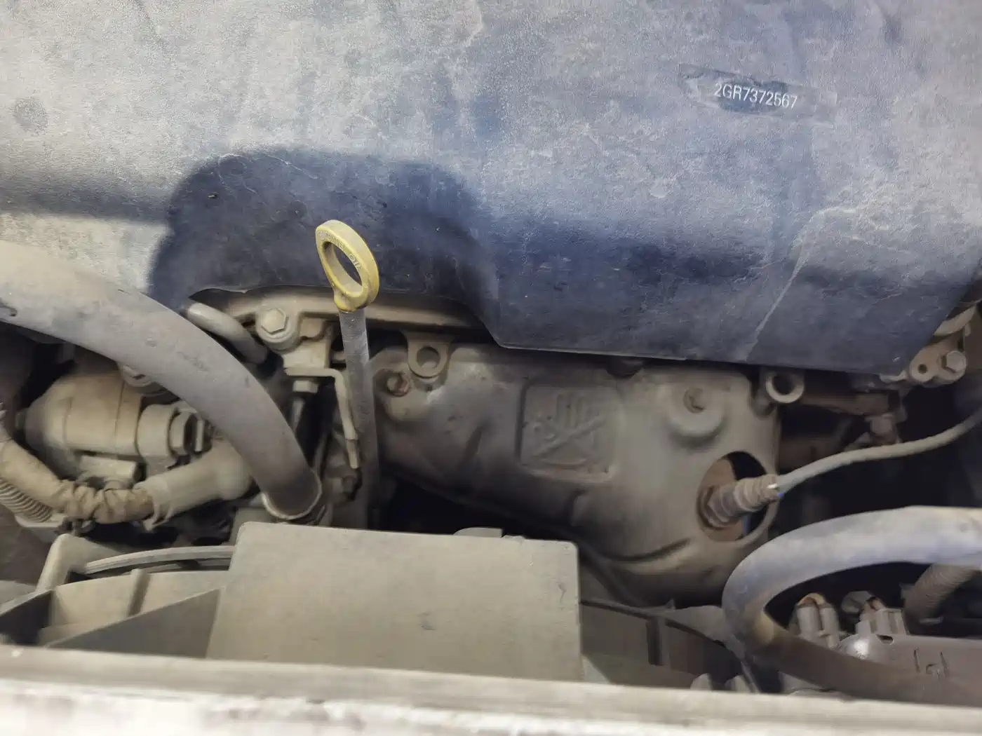 Toyota Sienna 2011 3.5L 4WD Automatic фото 16