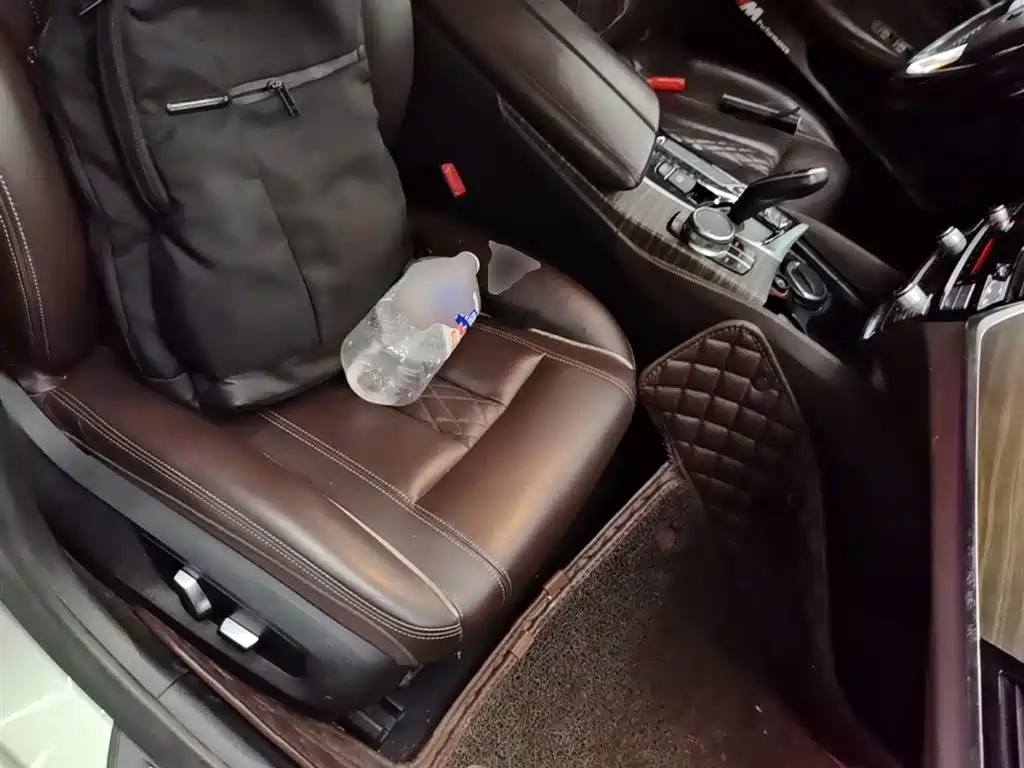 BMW 5 Series 2018 Facelift 530Li Leading Luxury Package фото 25
