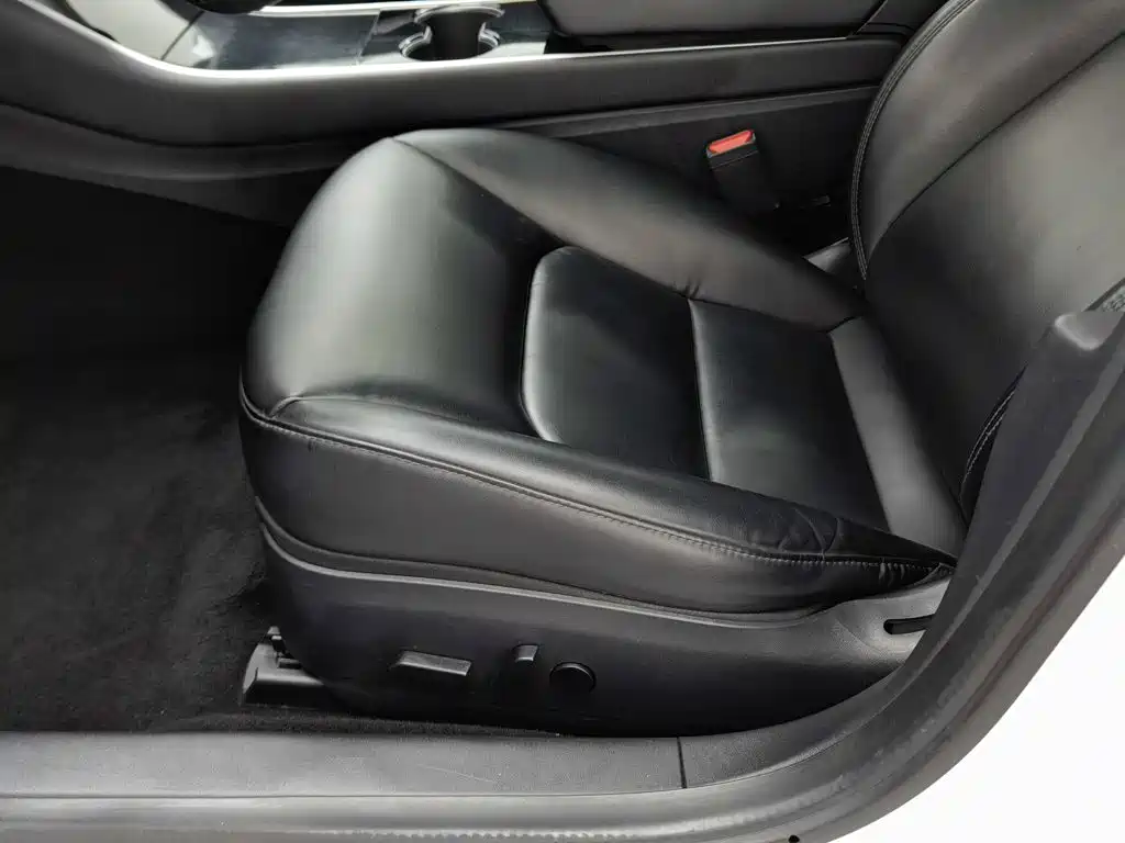 Tesla Model 3 2020 2019 Standard Range Rear-Wheel Drive Upgrade
