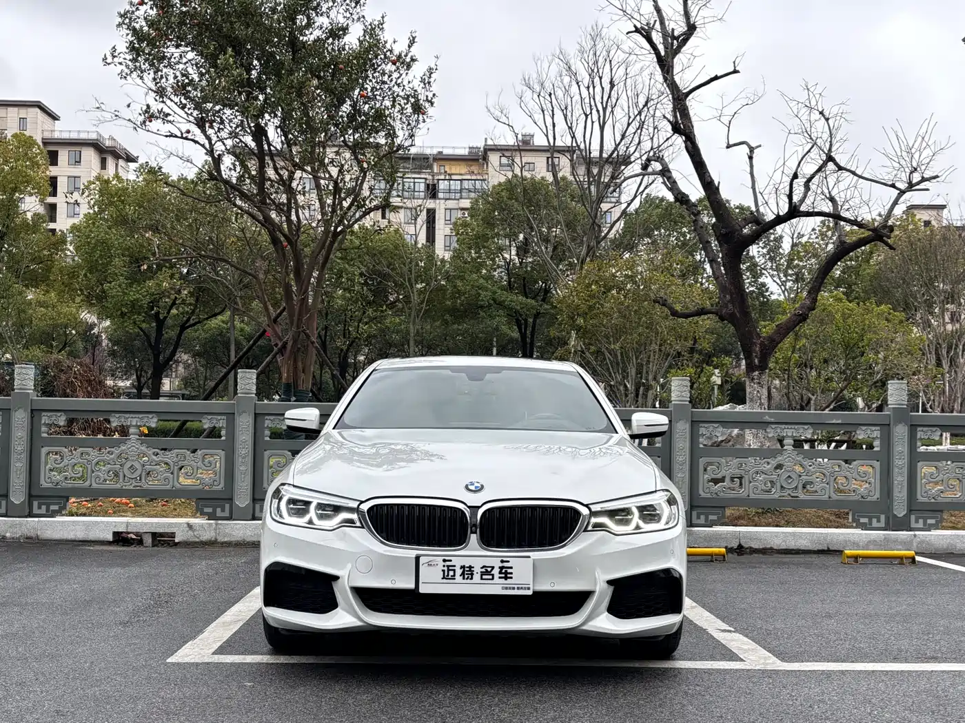 BMW 5 Series 2020 530Li Exclusive M Sport Package фото 2