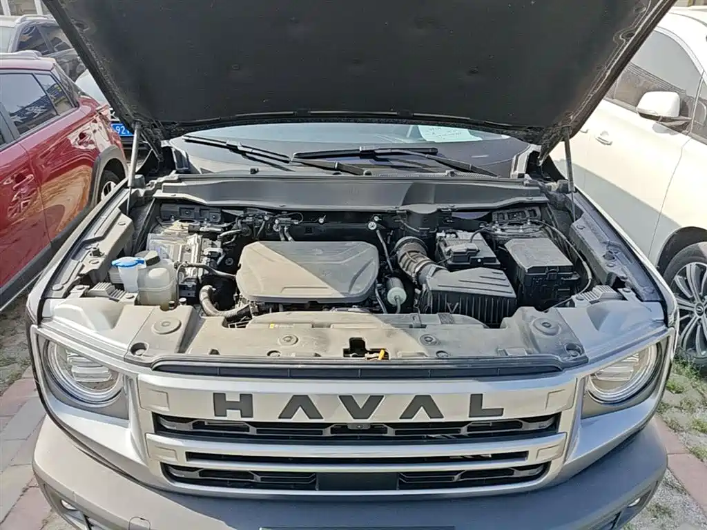 Haval Big Dog 2024 1.5T DCT Border Collie Edition фото 20
