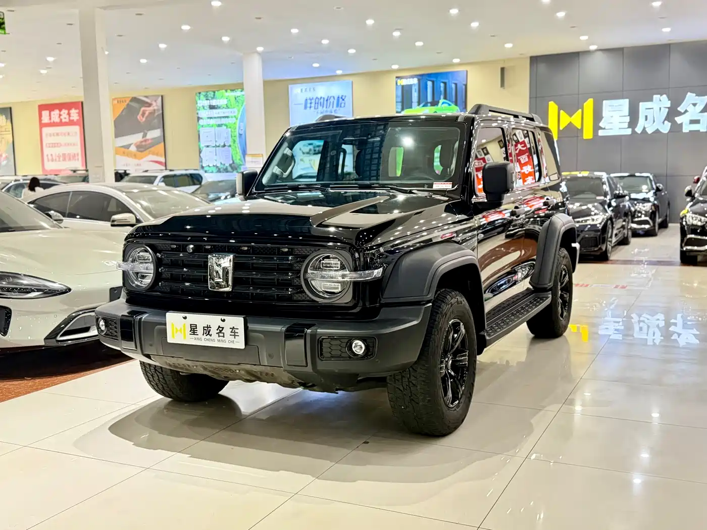 Tank 300 2023 Off-Road Edition 2.0T Conqueror фото 2