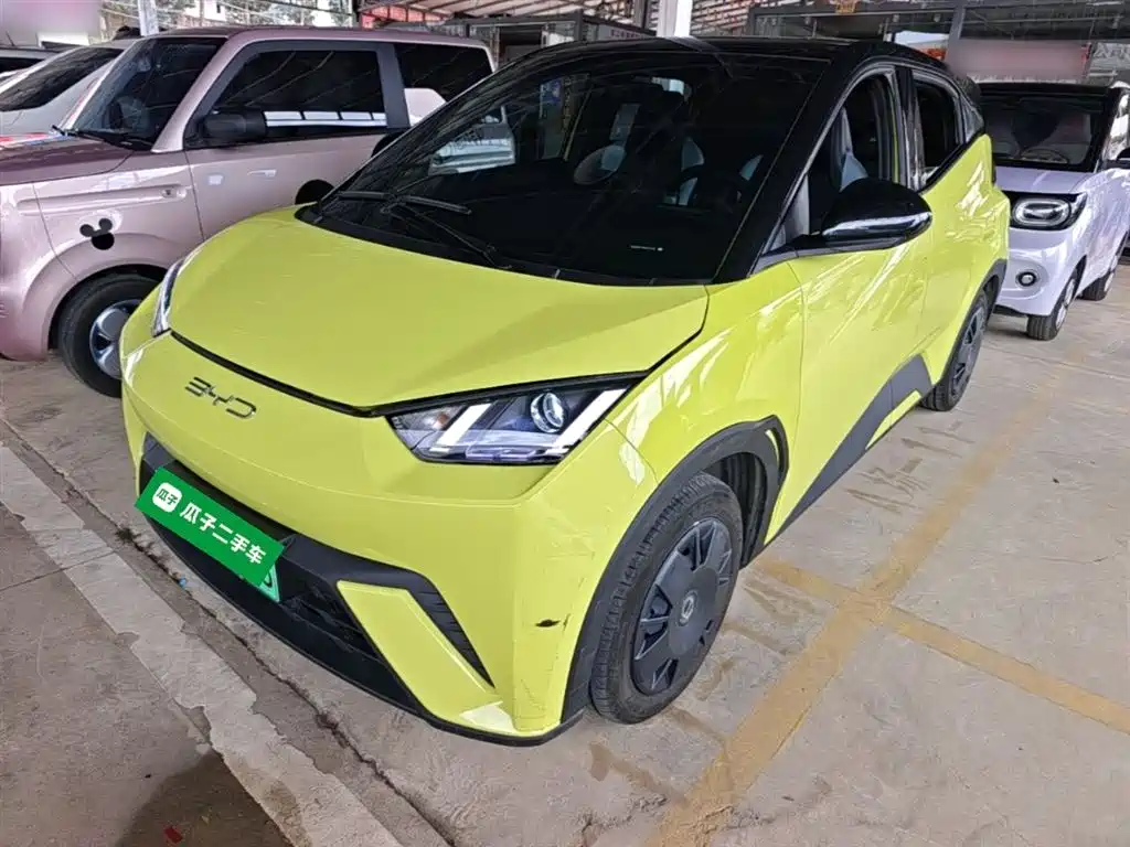 BYD Seagull 2023 Vitality Edition фото 2