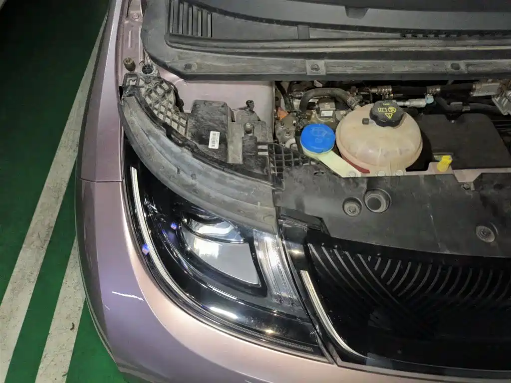 BYD Dolphin 2021 Model 405km Fashion Edition фото 20
