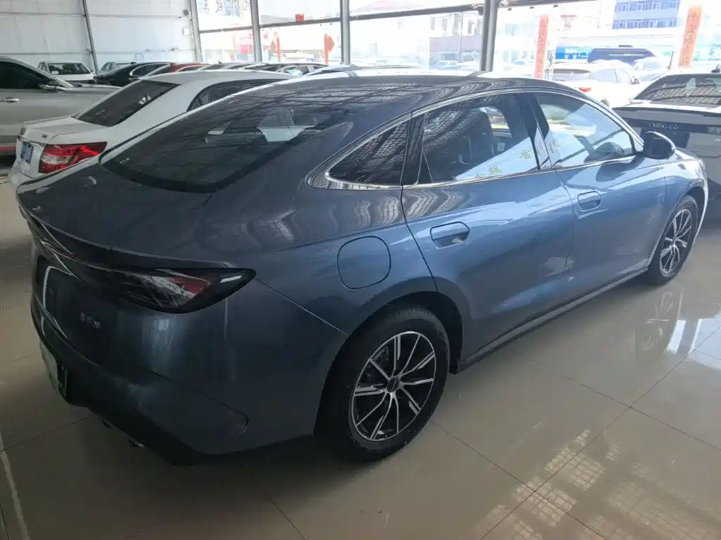 BYD Seal 06 New Energy 2024 DM-i 80KM Prestige фото 7