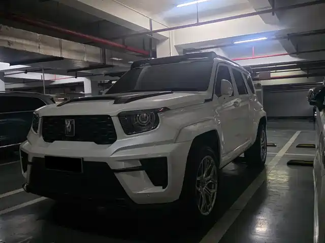  Tank Tank 700 New Energy 2024 Hi4-T Launch Limited Edition