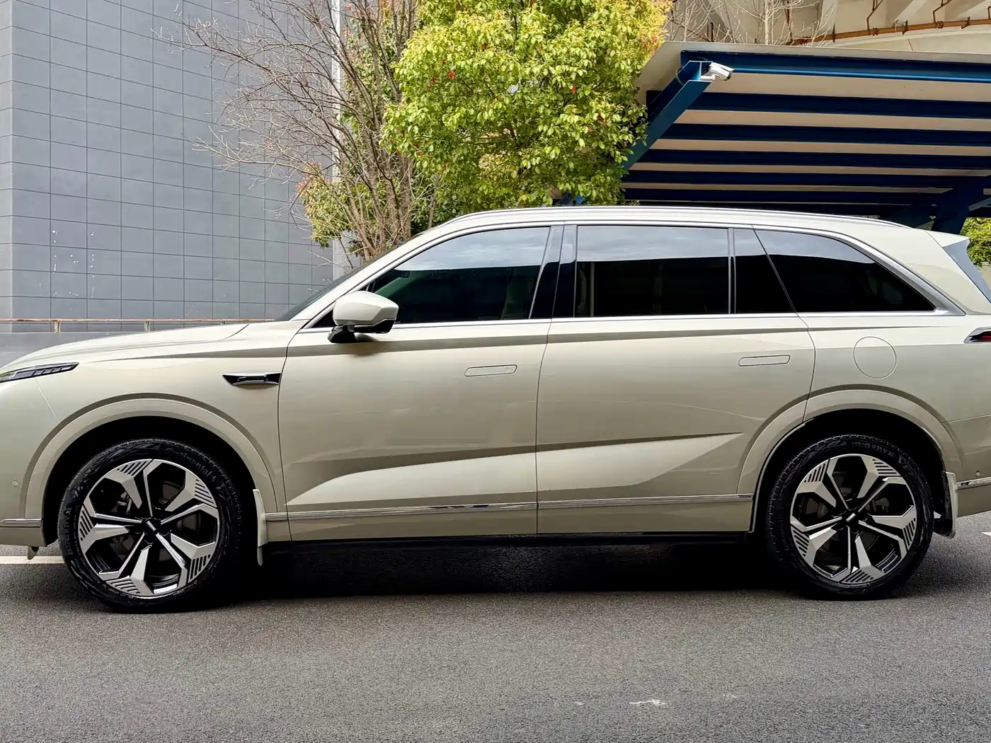 WEI PAI WEI BRAND BLUE MOUNTAIN