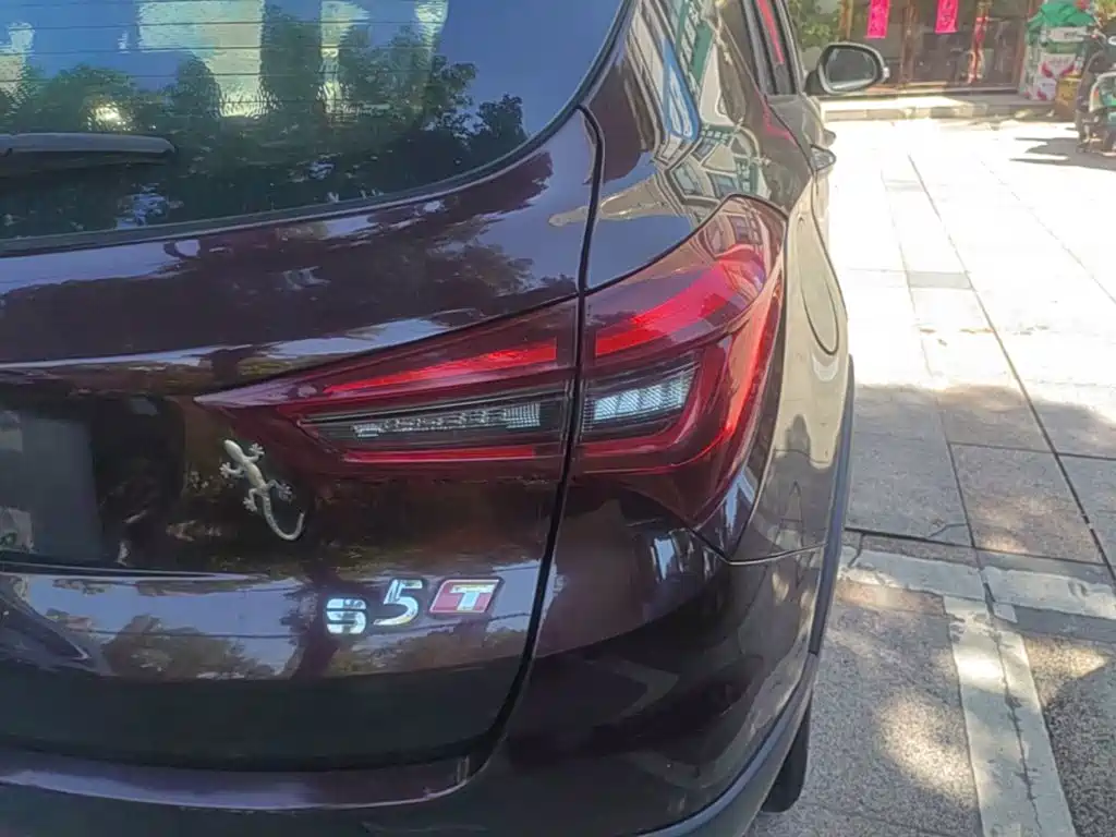 Фото 8 - Haima S5