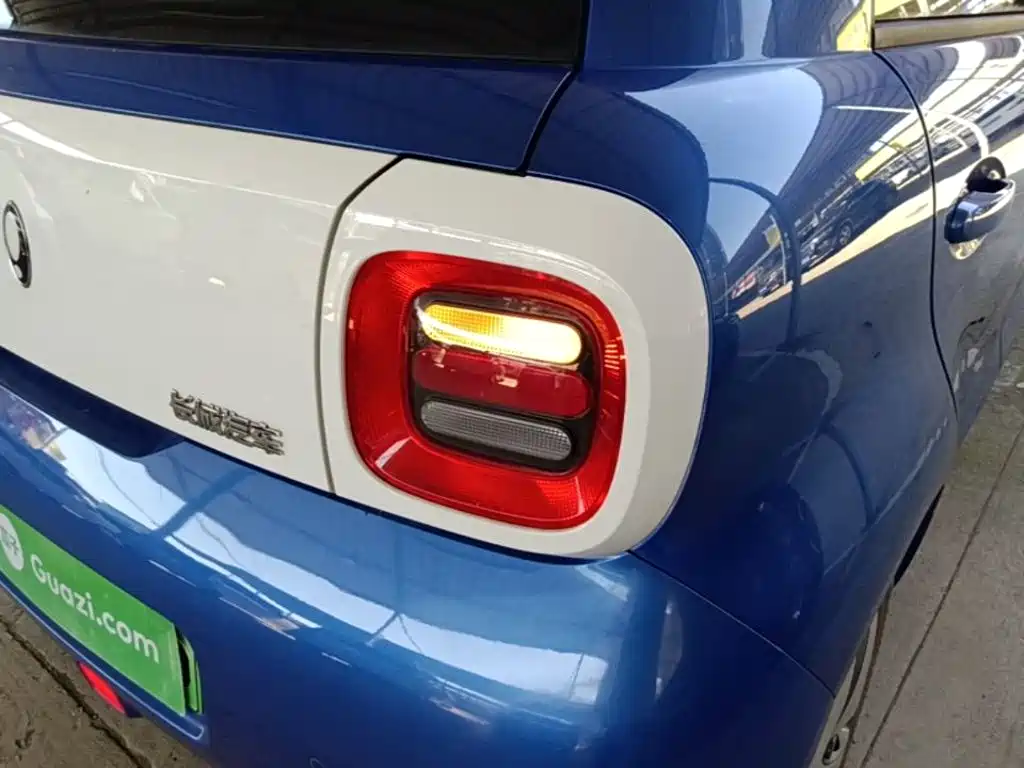 Ora Black Cat 2022 2022 Facelift 301km Pet Edition LFP Version