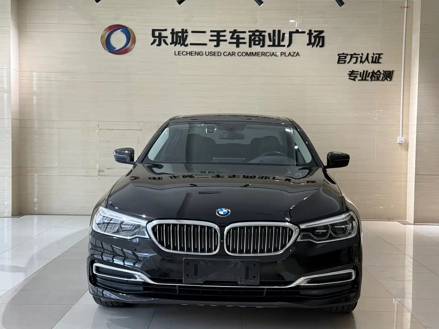 BMW 5 Series 2019 530Li Premium Luxury Package фото 2