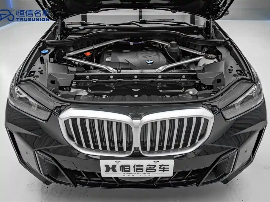 BMW X5 2023 xDrive 30Li Premium M Sport Black Night Package фото 21