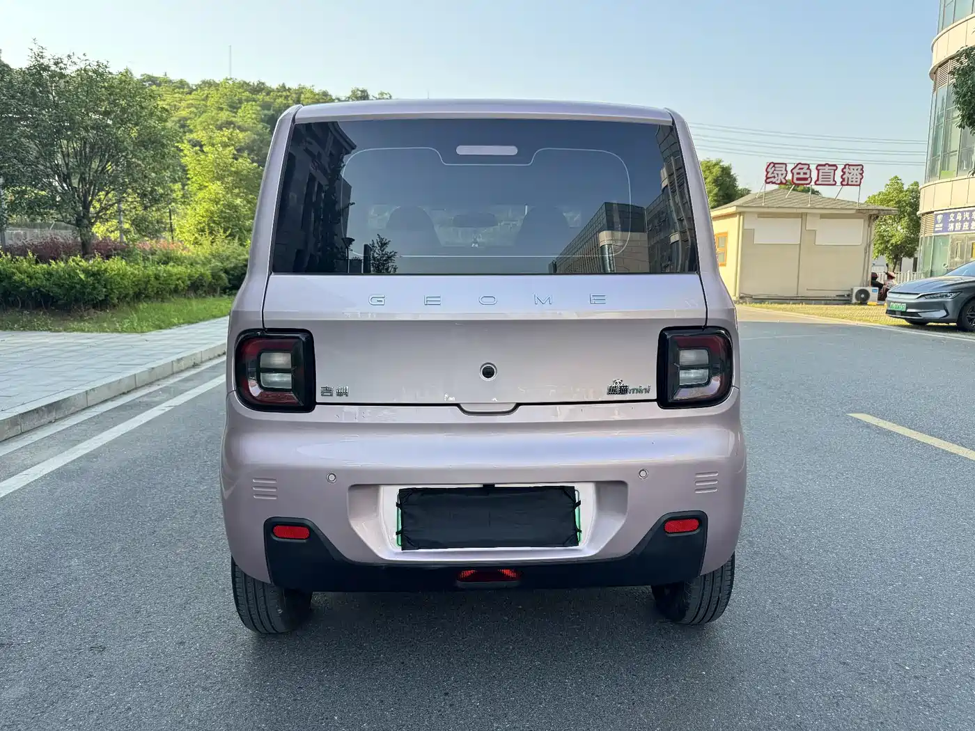 Geely Galaxy Panda 2023 Panda Mini 200km Endurance Bear фото 17