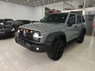 Tank 300