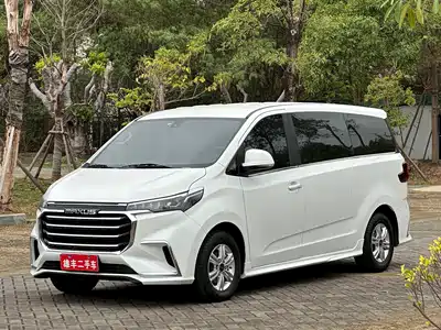 Maxus G20