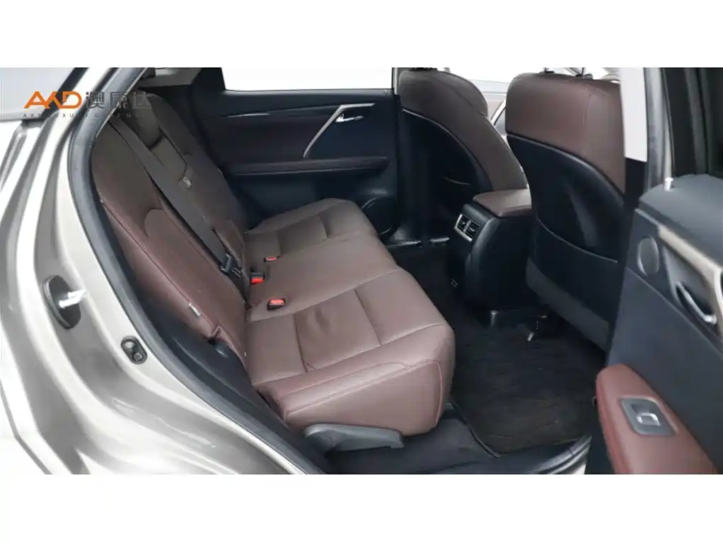 Lexus RX 2020 300 4WD Elegance Edition China VI фото 8