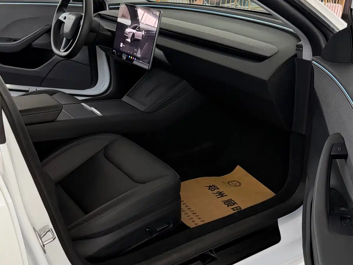 Tesla Model 3 2025 2025 Model Rear-Wheel Drive Edition