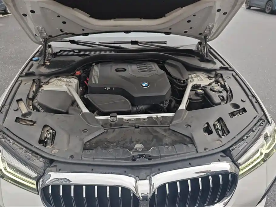 BMW 5 Series 2021 Facelift 530Li Leading M Sport Package фото 10