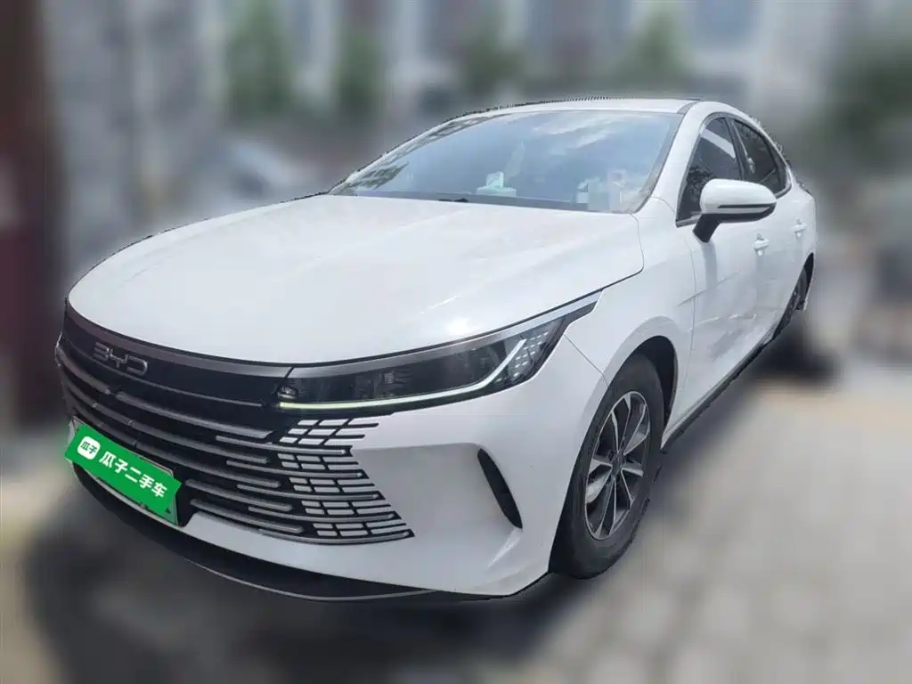 BYD Destroyer 05 2024 Glory Edition DM-i 55KM Luxury фото 2