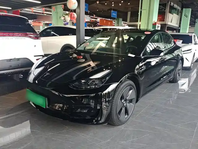 Tesla Model 3 Задний привод