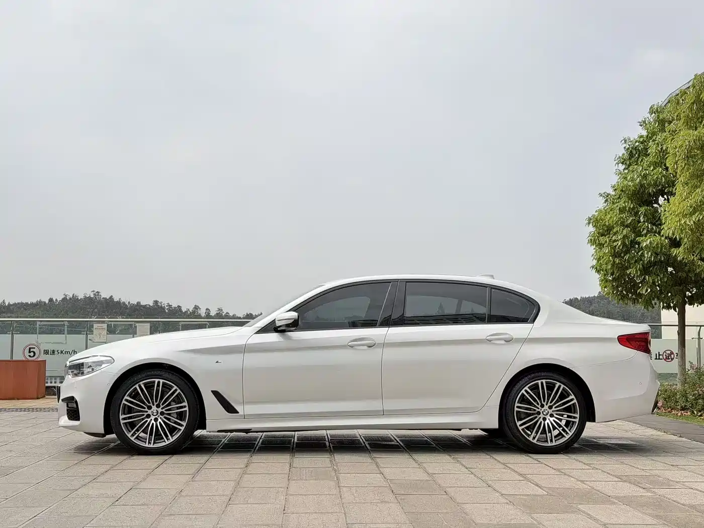 BMW 5 Series 2019 530Li Premium M Sport Package фото 10
