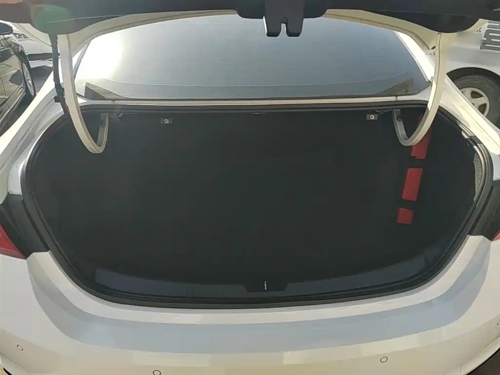 Chevrolet Malibu XL 2018 530T Auto RuiChi Edition фото 19
