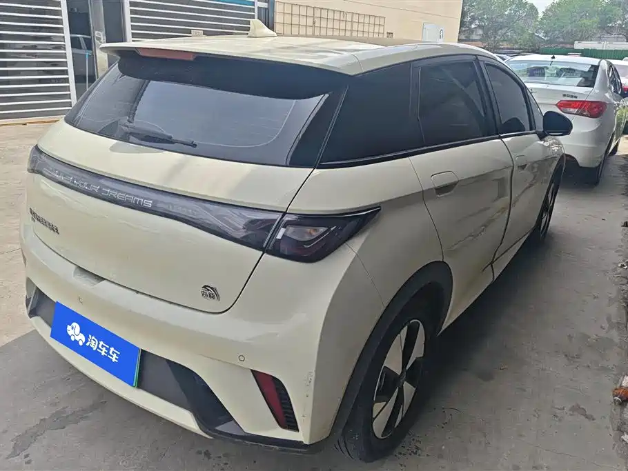 BYD Dolphin 2023 420km Fashion Edition фото 3