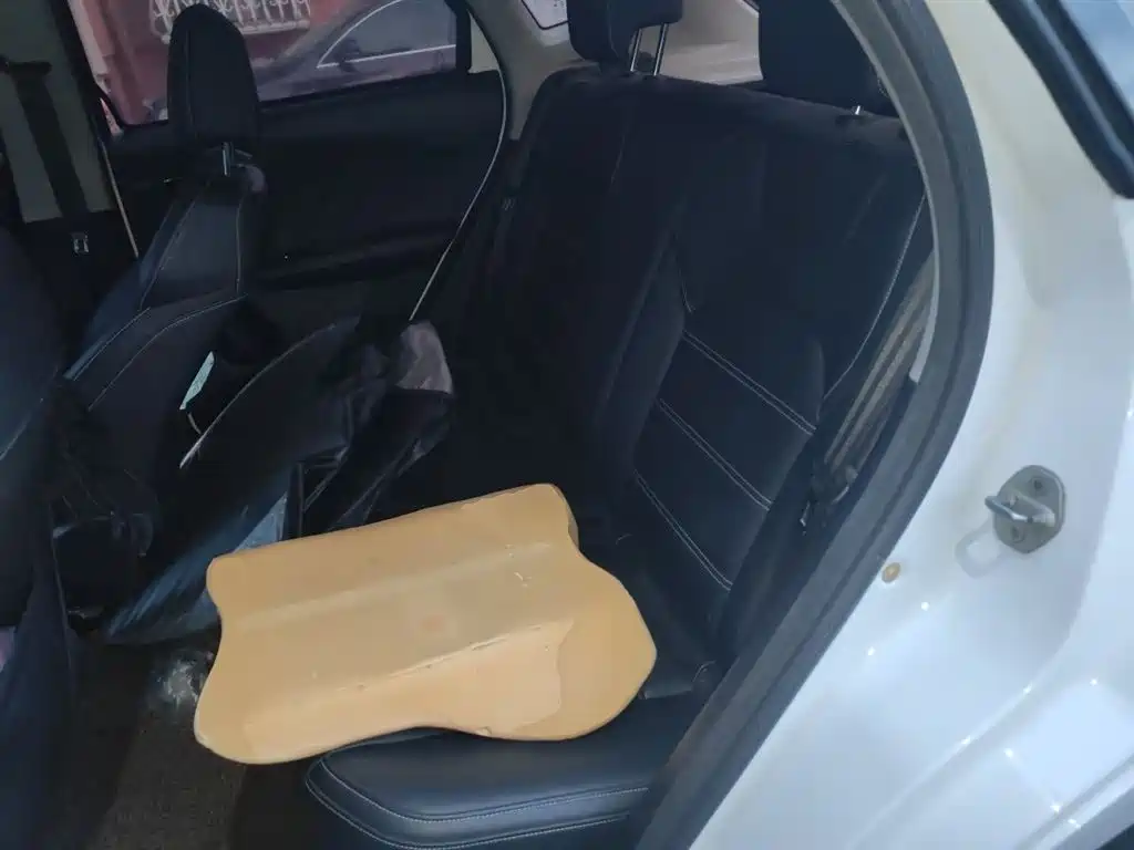 BYD e2 2019 Standard Range Intelligent Comfort фото 14