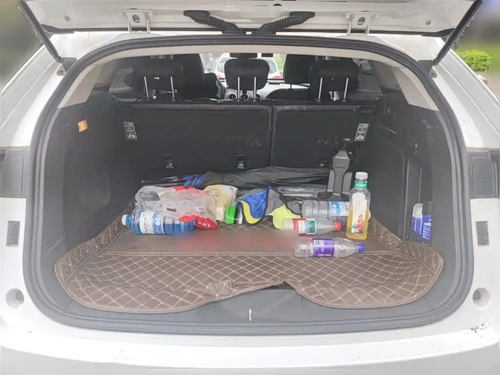 WEY VV7 2018 2017 2.0T Luxury