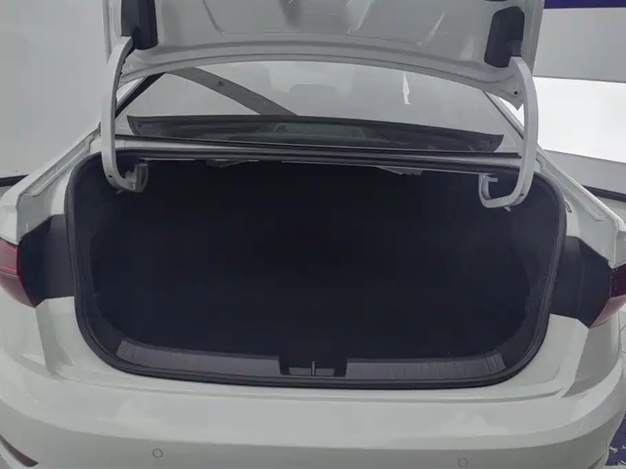 Volkswagen Sagitar 2020 280TSI DSG Comfort China VI фото 4