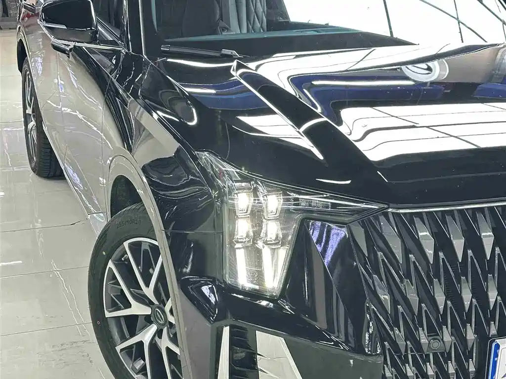 GAC Trumpchi Trumpchi GS8 2022 Dual Engine Series 2.0TM 2WD Premium Edition (7-Seater) фото 6