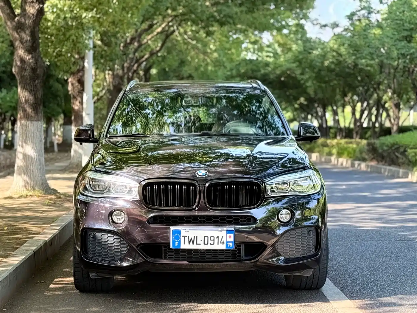 BMW X5 (Import) 2018 xDrive35i M Sport Model фото 2