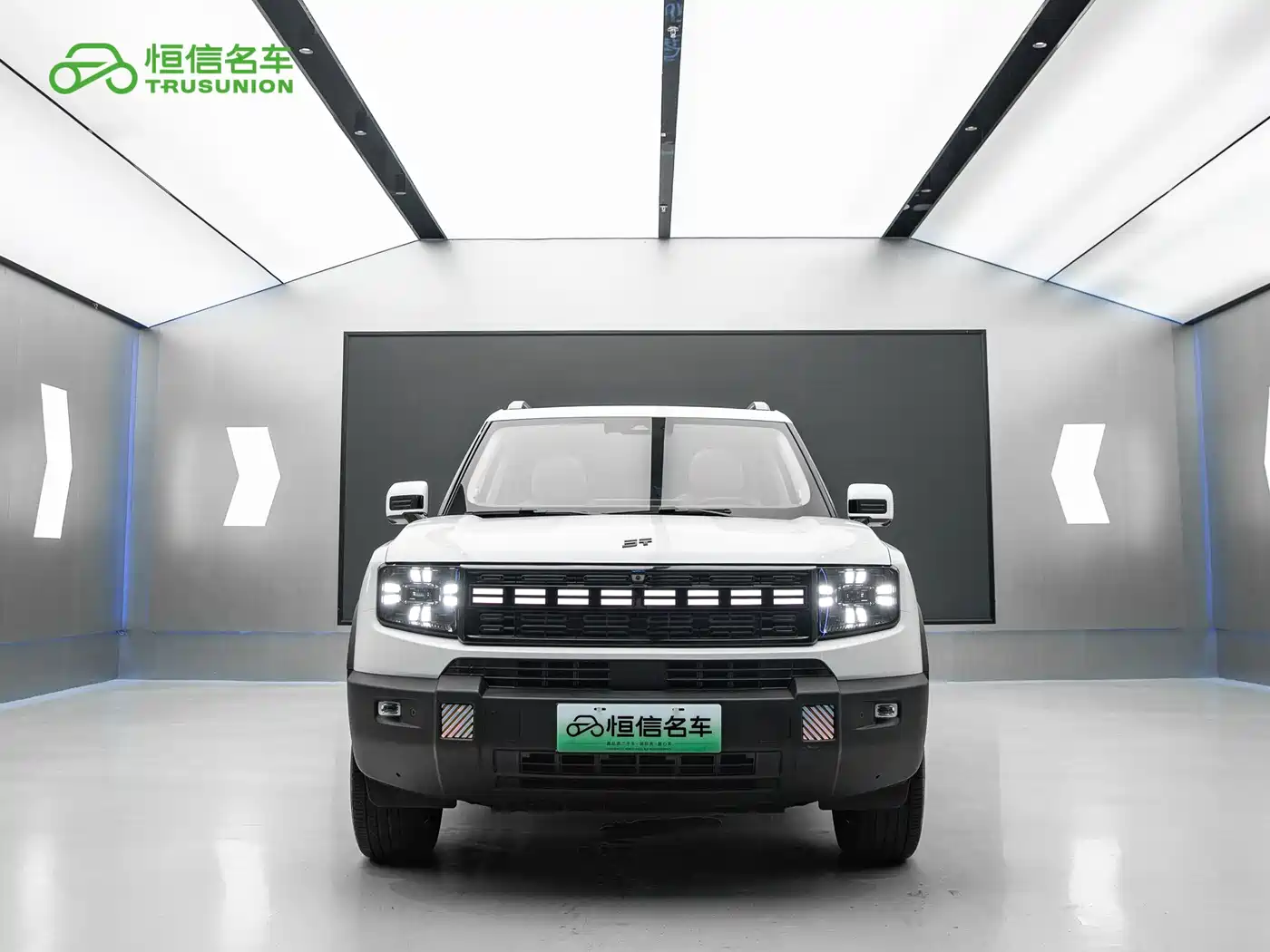 Jetour Shanhai T1 2025 2025 150km Ocean Edition