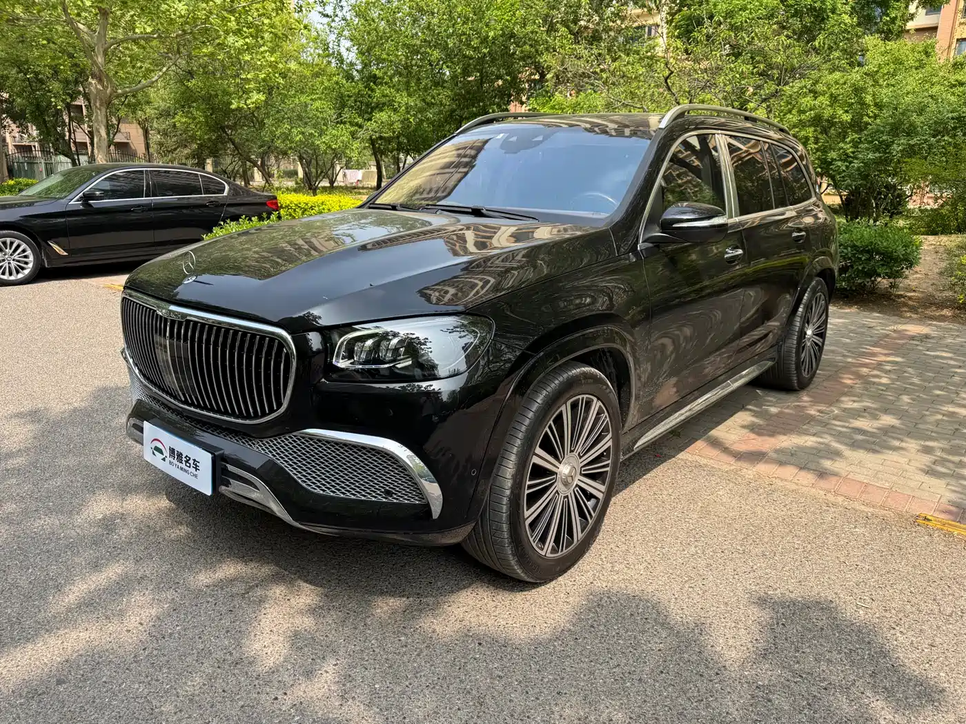 Mercedes-Benz Maybach GLS 2022 GLS 480 4MATIC фото 3