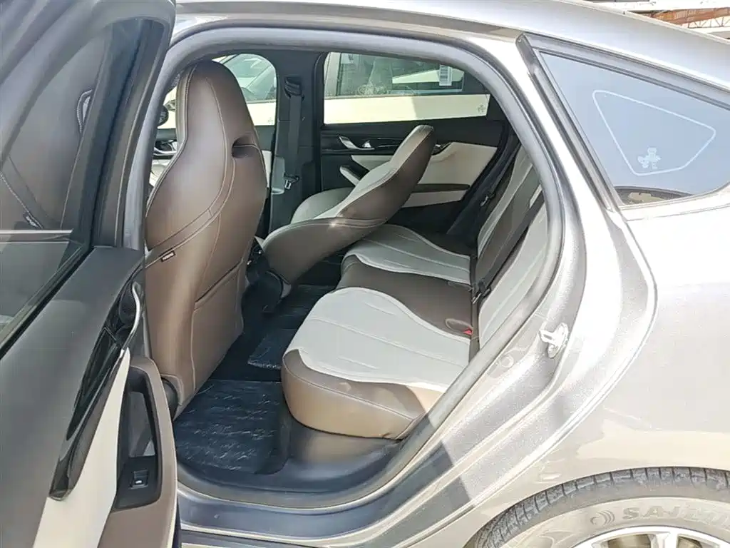 BYD Qin PLUS 2024 Glory Edition DM-i 55KM Leading фото 17