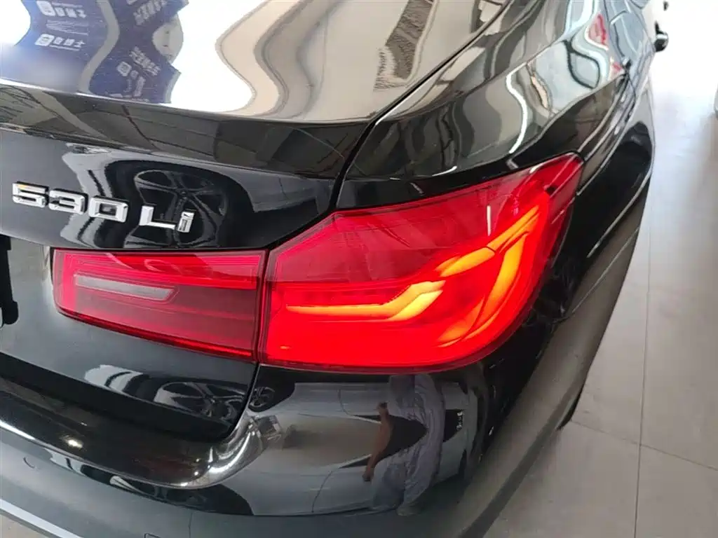 BMW 5 Series 2020 530Li Leading Luxury Package фото 8