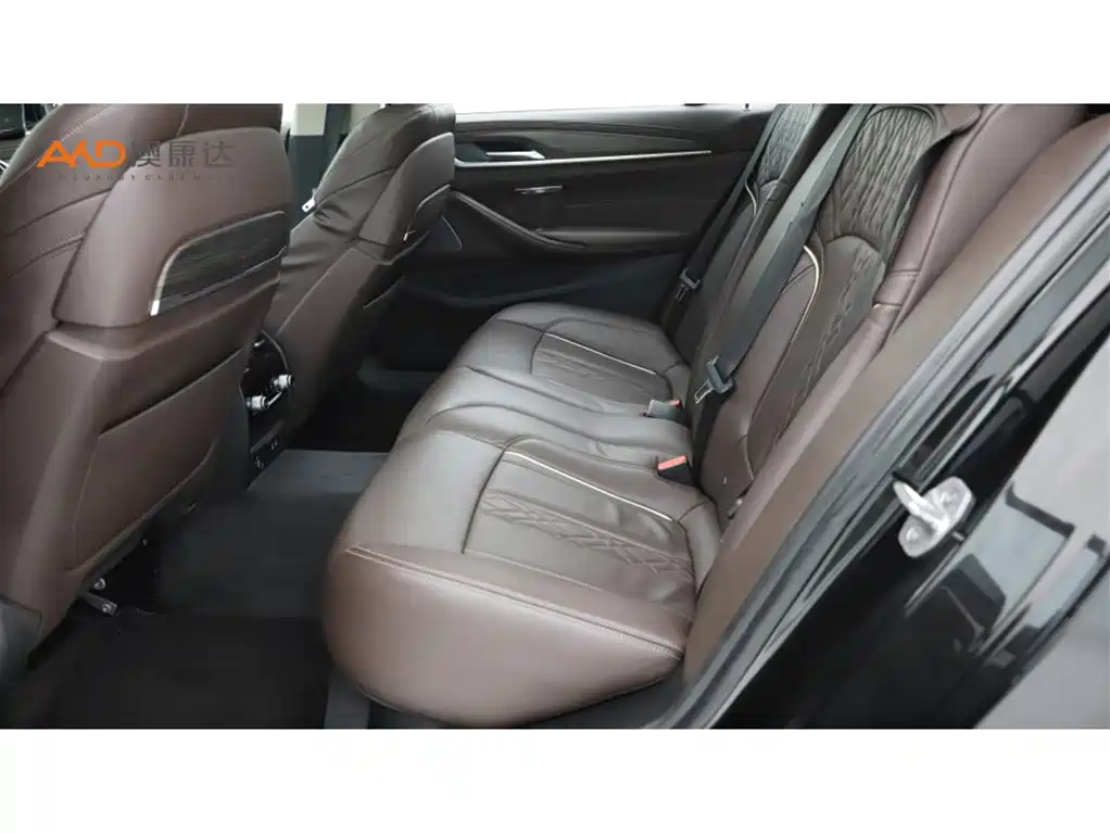 BMW 5 Series 2020 530Li Premium Luxury Package фото 7