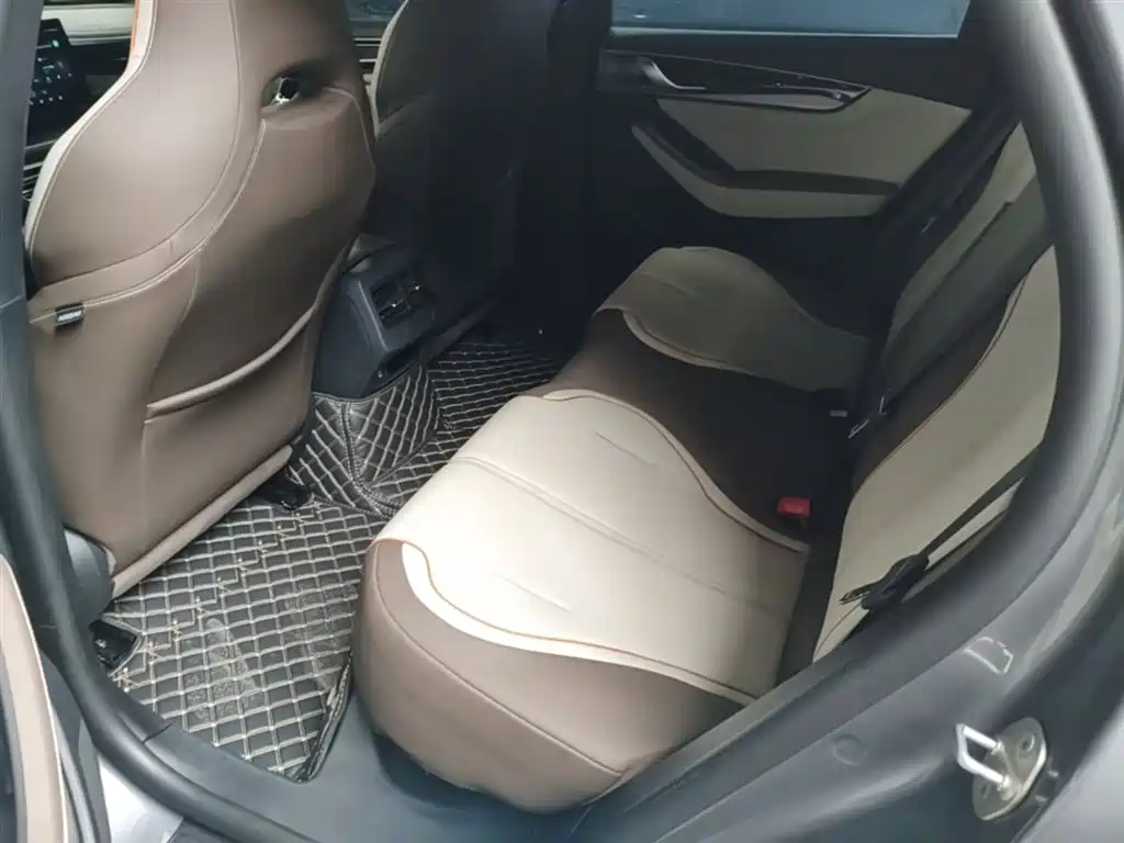 BYD Qin PLUS 2024 Glory Edition EV 420KM Surpass фото 17